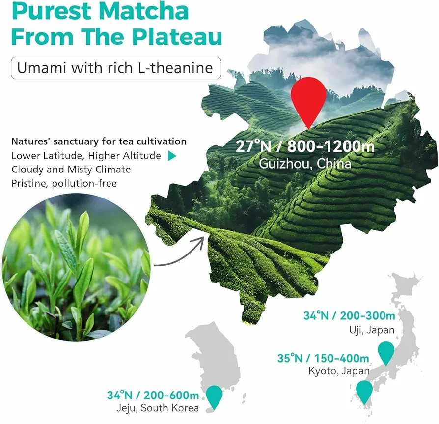Emerail Organic Matcha Powder, USDA-Certified Pure Matcha Green Tea Powder