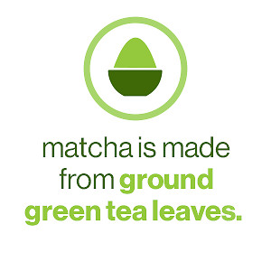 Matcha Love Organic Cold Brew Cucumber+ Mint Matcha Green Tea 15.9oz (Pack of 6)