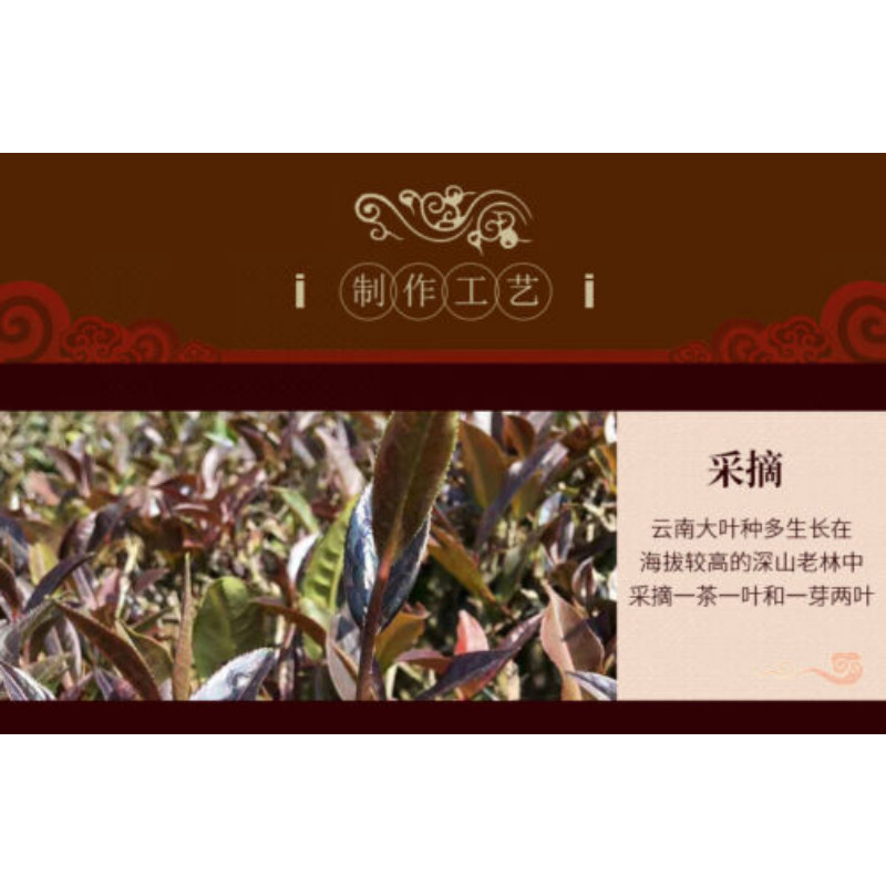 Zi Juan Purple Puer Tea Sheng Pu Er Green Herbal Tea 400g