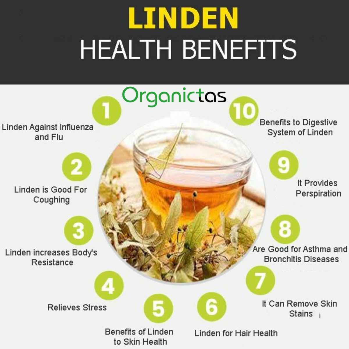 Organic LINDEN FLOWER Tea 2023 Wild Harvest Lime Tree Tilia Premium Quality 100g