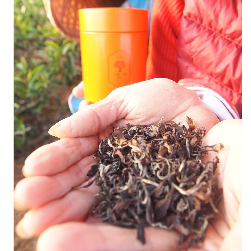 Taiwan unique tea,Oriental Beauty tea,75g*4