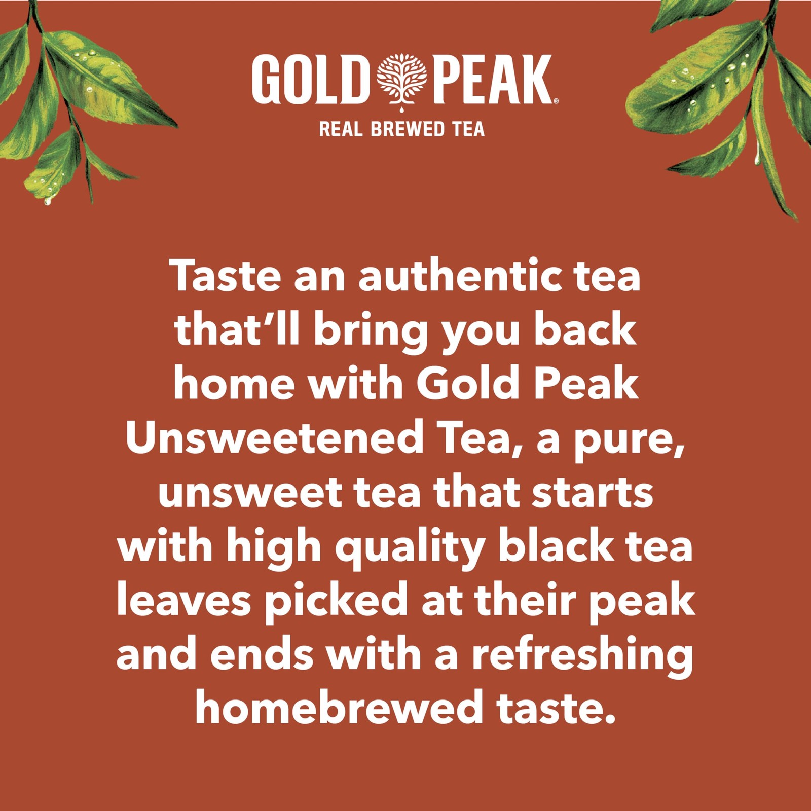 Tea Unsweet Tea 16.9 fl oz 6 Pack