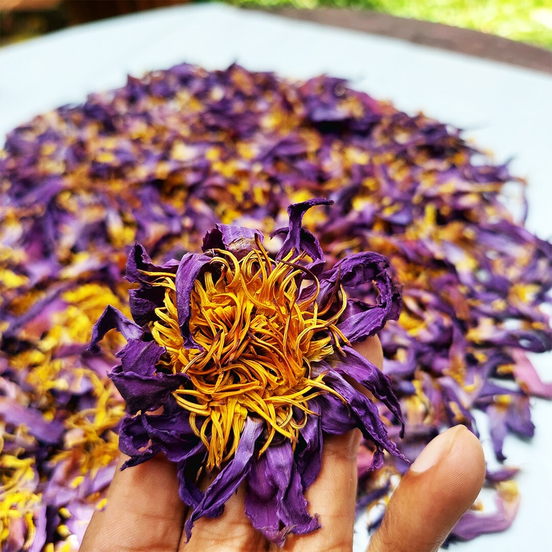 500g Ceylon Dried Blue Lotus Cut Flowers Nymphaea Caerulea Egyptian Herbal Tea