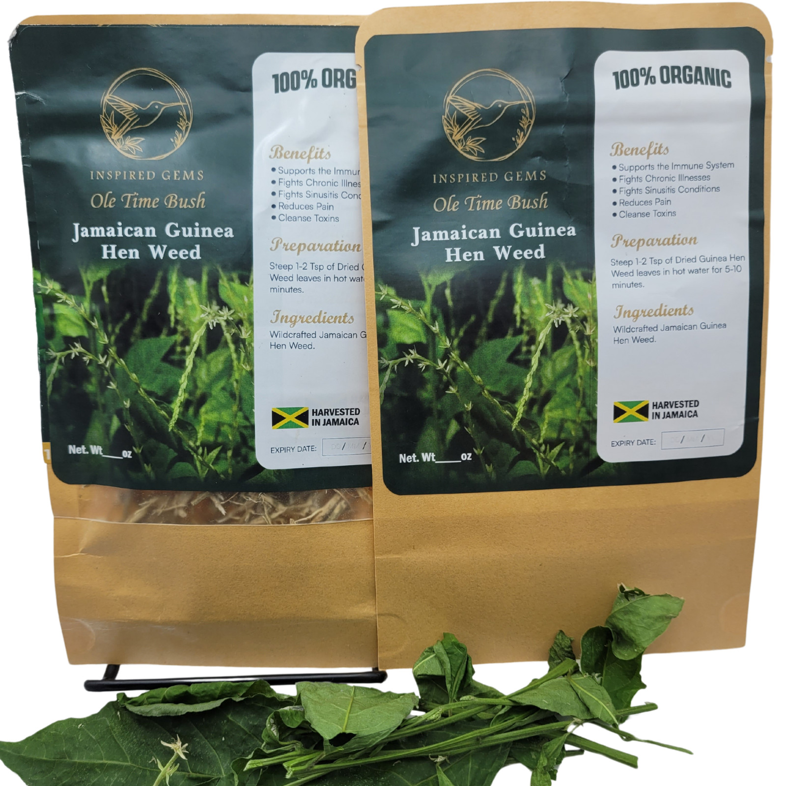Jamaican Guinea Hen Weed Tea 2 Pack Anamu Leaves Handpicked Available in US & CA