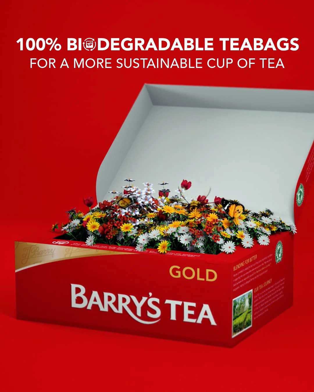 Irish Gold Blend 80 Teabags – 250G