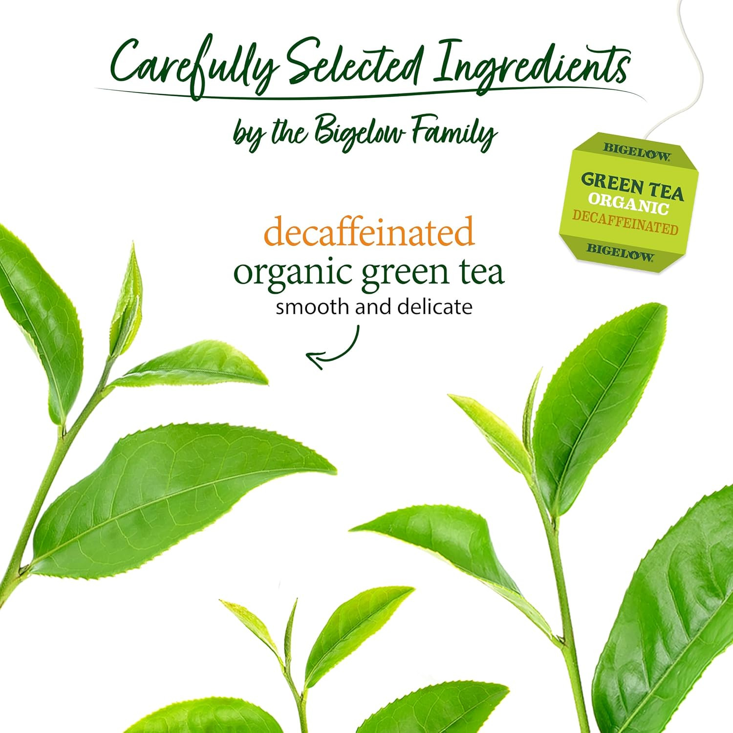 Bigelow Organic Decaffeinated Green Tea, 40 Count (Pack of 6), 240 Total Tea Bag