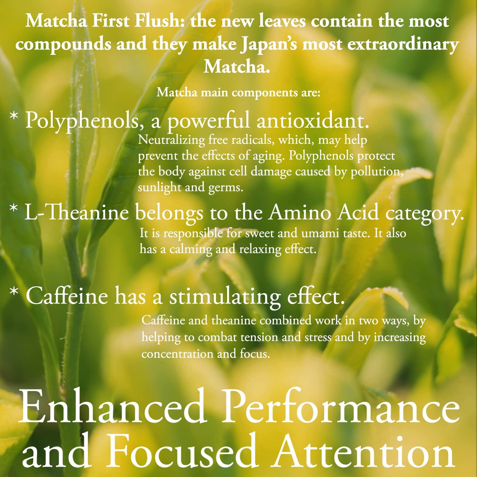 Organic Ceremonial Grade Matcha | Emerald Green, Creamy & Sweet (for a matcha…
