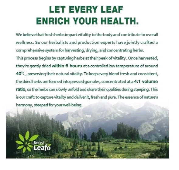 EnrychLeafo Nettle Leaves Tea, 50 Teabags, Healthy Blend for Urinary Health. B6