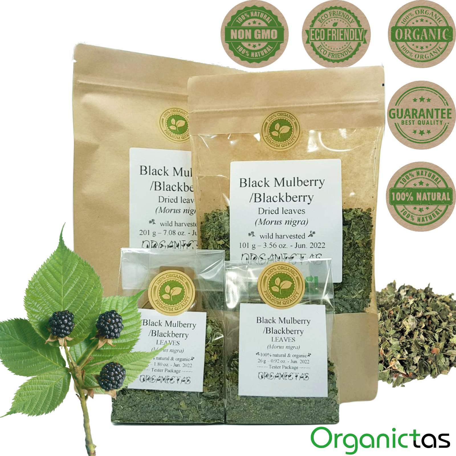 Organic Black Mulberry Leaf Tea (Morus Nigra) Wild Harvest Premium Quality