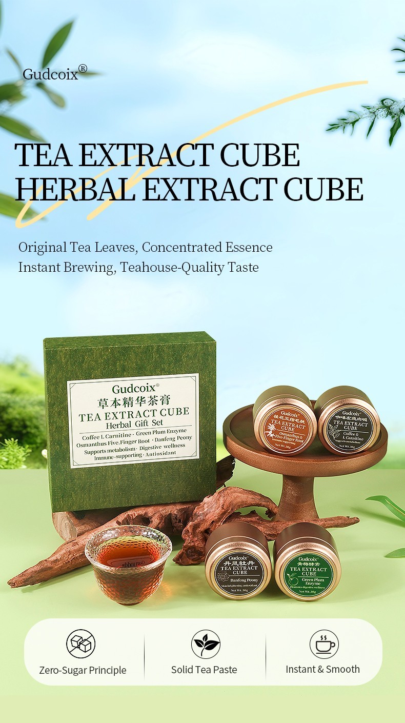 Herbal Tea Extract Cube Gift Set 4 Flavors Concentrated Tea Cubes Premium Box