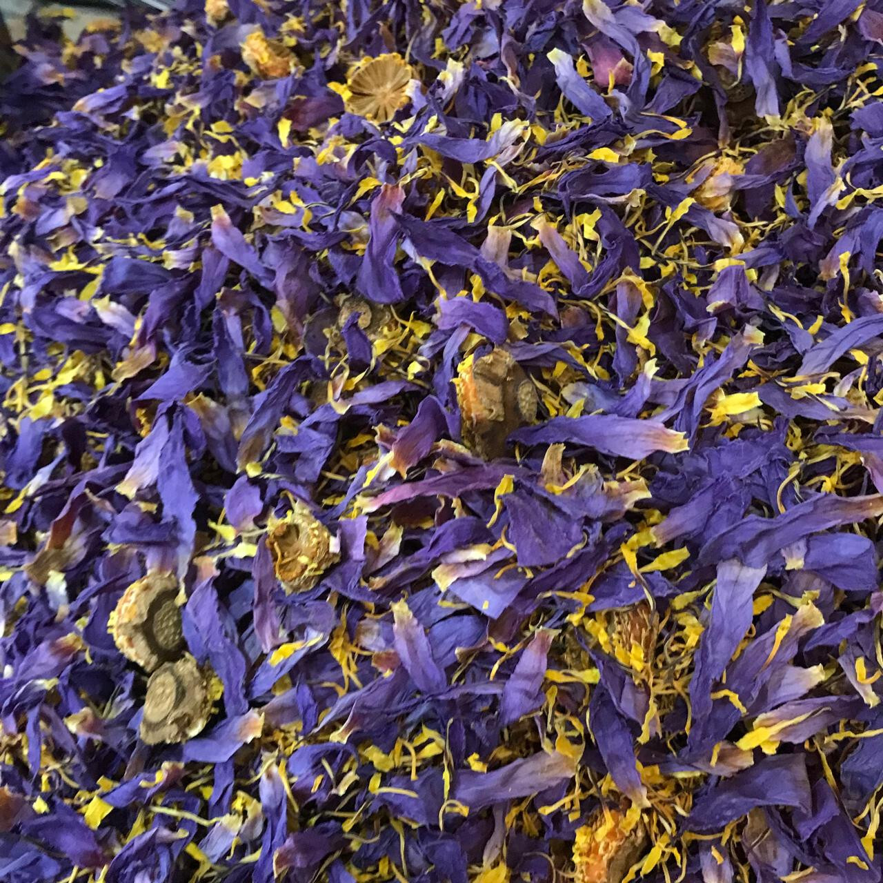 Ceylon Egyptian Cut Blue Lotus Nymphaea Caerulea Hand Picked Herbal Organic Tea
