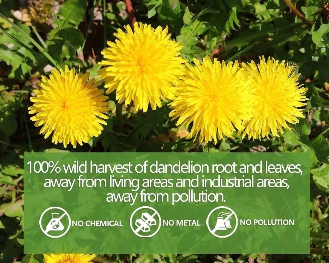 Dandelion Tea 100-Leaf & Root Herbal Tea Bags for Liver & Kidney Health Detox