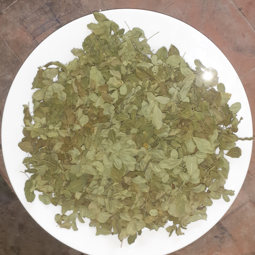 Dried Moringa Oleifera Leaf Powder Natural Pure Organic Ceylon 100% Herbal Tea