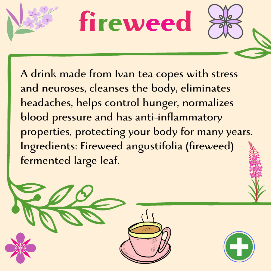 Tea Chai Herbal Ivan Fireweed Detox Organic Fermented Medicinal 1 kg 35.27 oz