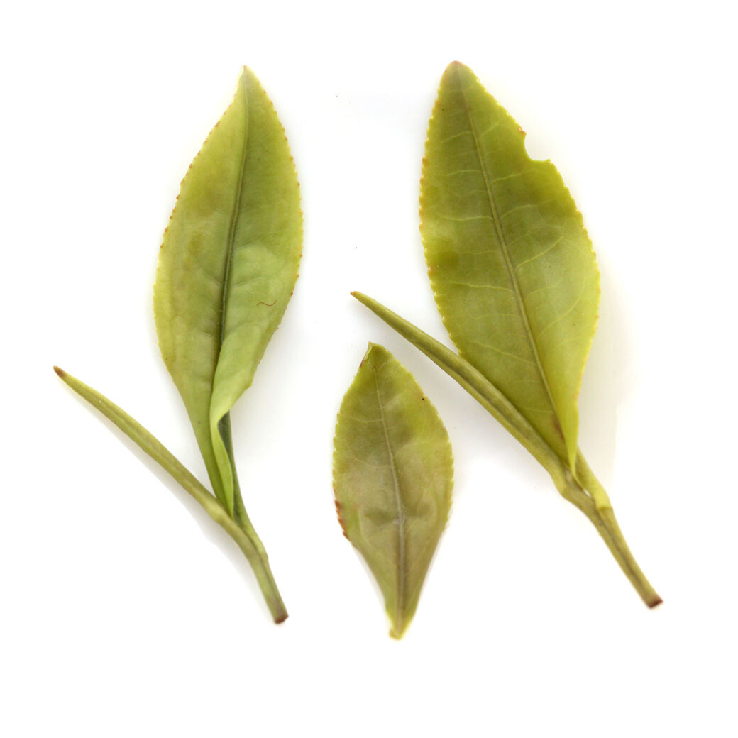 GOARTEA Premium Huangshan Maofeng GREEN TEA Chinese Yellow Mountain Mao Feng