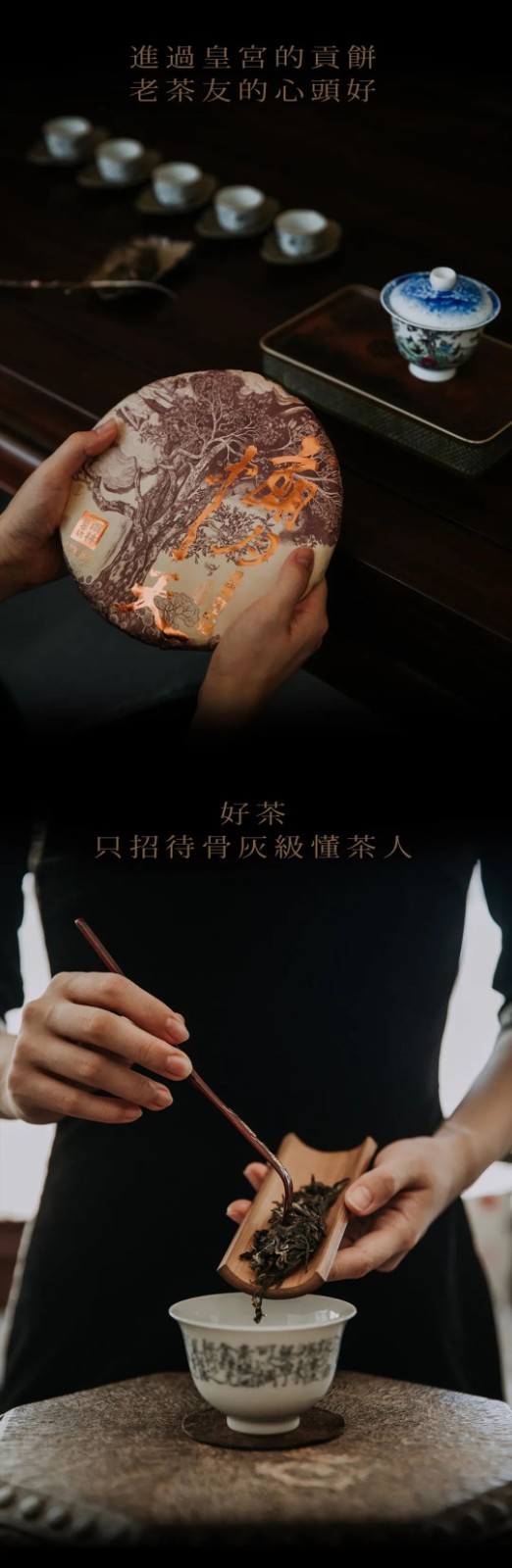 2020 Lang Yue Zhong Tian Yiwu Extra Large Ancient Tree Raw 357g