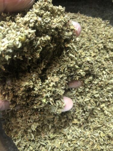 DAMIANA herb tea bulk leaf c/s cut organic tea brew wild crafted WHOLESALE