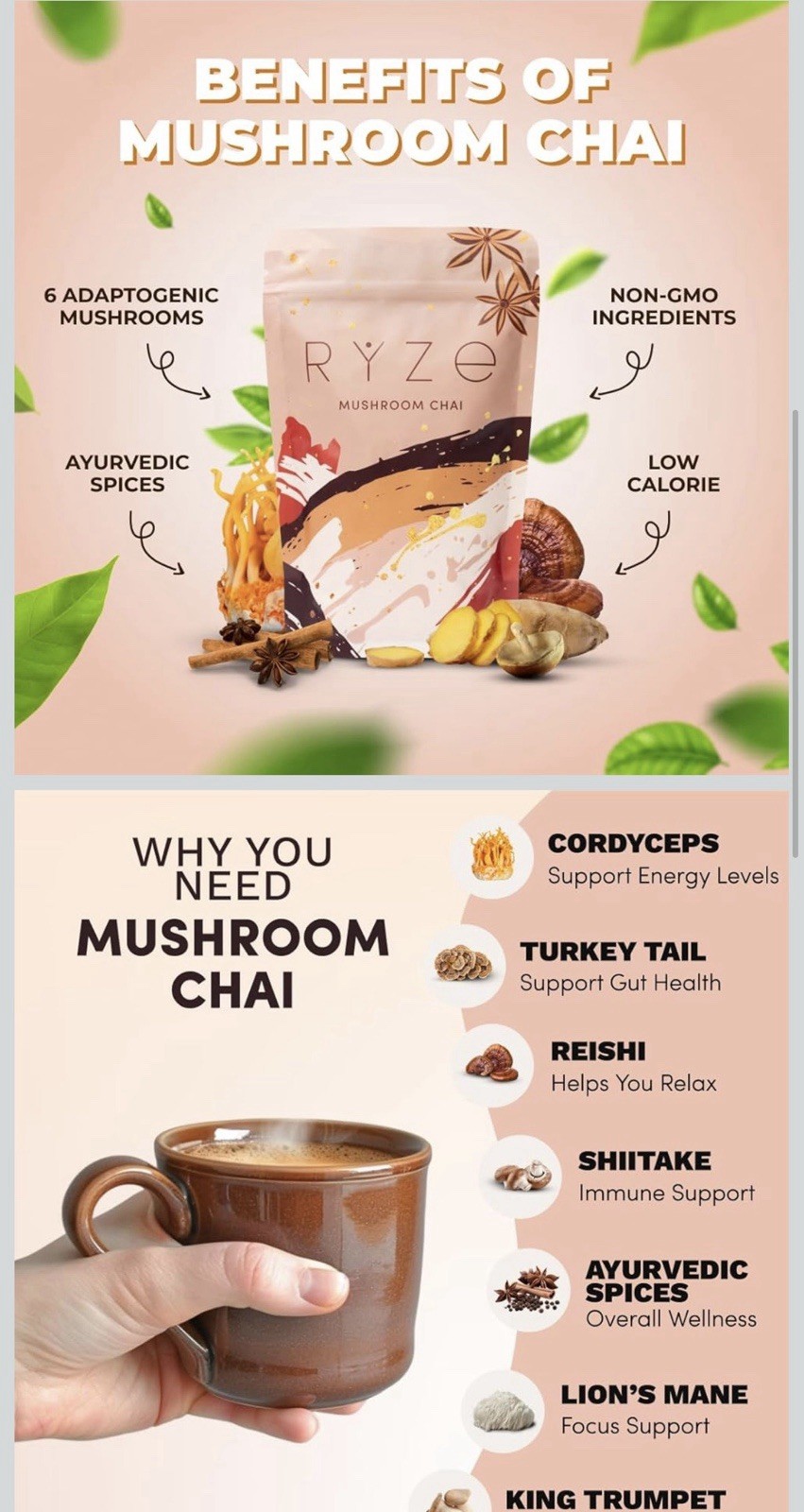 RYZE Mushroom Chai Tea & Infusion Powder Adaptogenic Non-GMO Ayurvedic Spices
