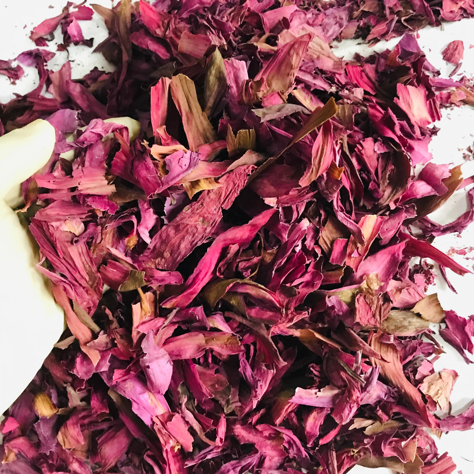 Dried Cut Red Lotus 1kg Nymphaea Rubra Flower Pure Organic Ceylon Herbal Tea