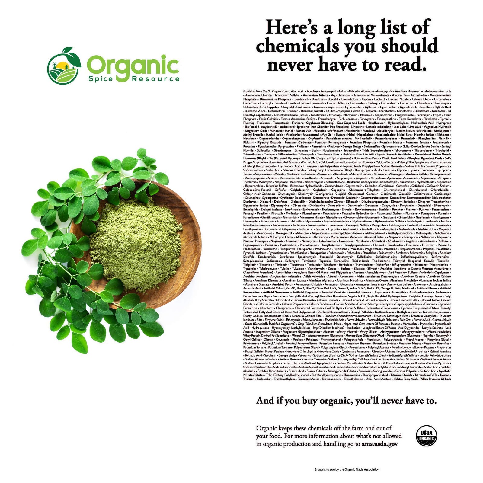 USDA Organic Moringa Powder 1.10 lbs – Non-GMO, Kosher, Halal, 100% Raw Natural