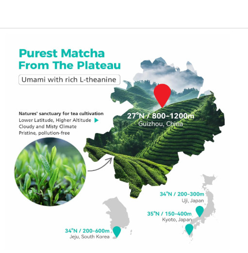 Matcha Powder, USDA-Certified Pure Matcha Green Tea Powder, Premium Culinary Gr