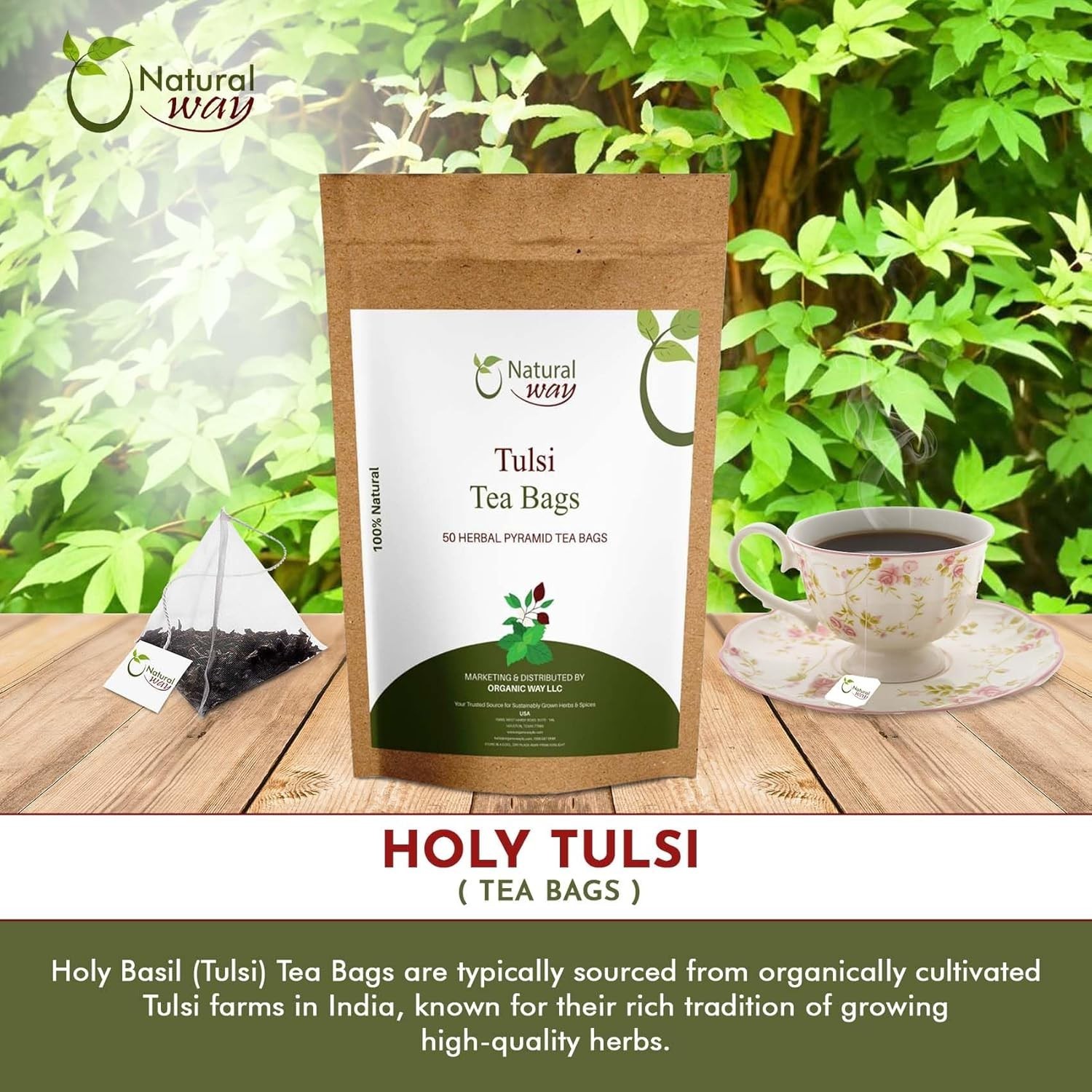 Tulsi Tea Bags | Pyramid Holy Basil Tea Bags 5 OZ (Pack of 50)
