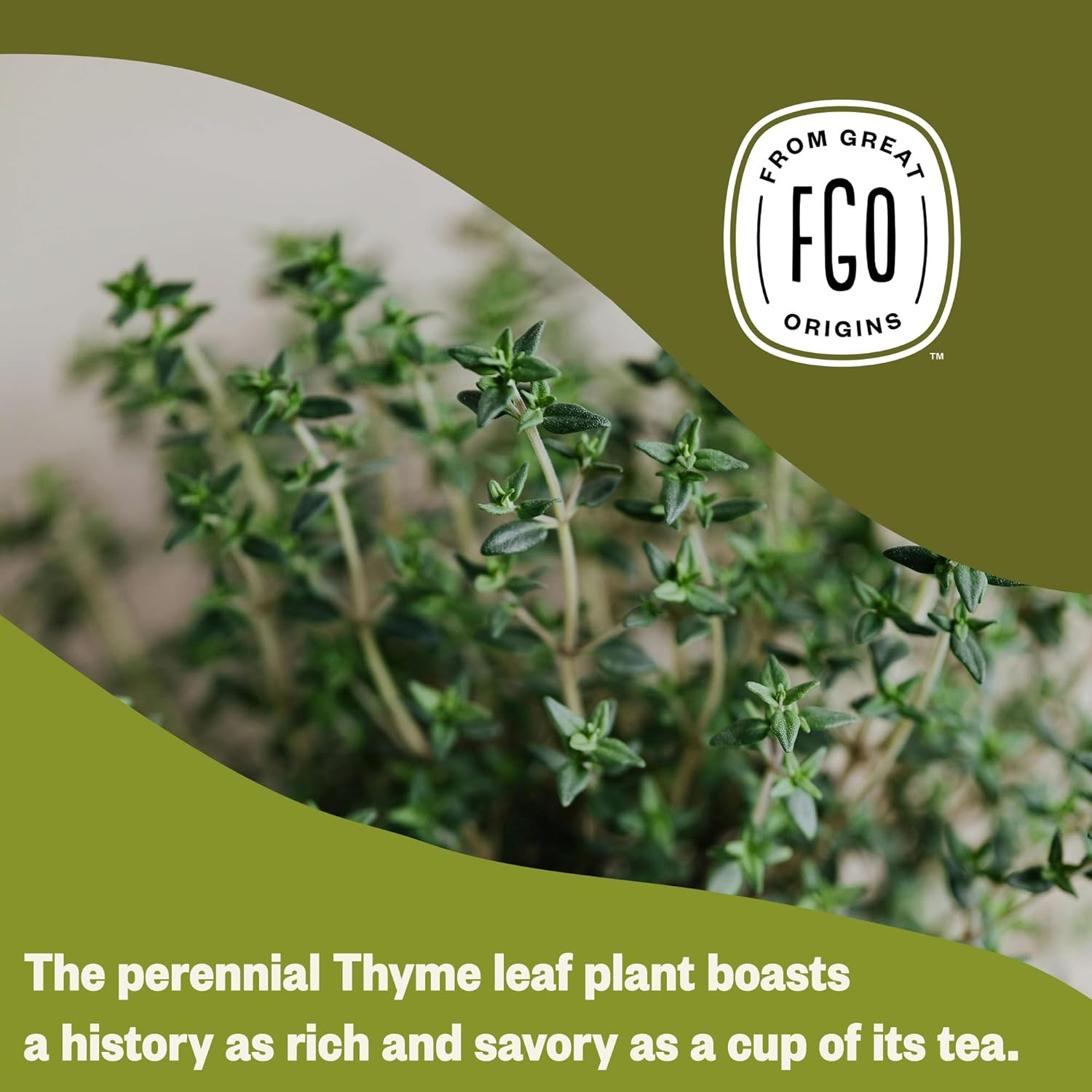 Organic Thyme Leaf Tea, 100 Count, Eco-Conscious Tea Bags, Caffeine Free, Reseal