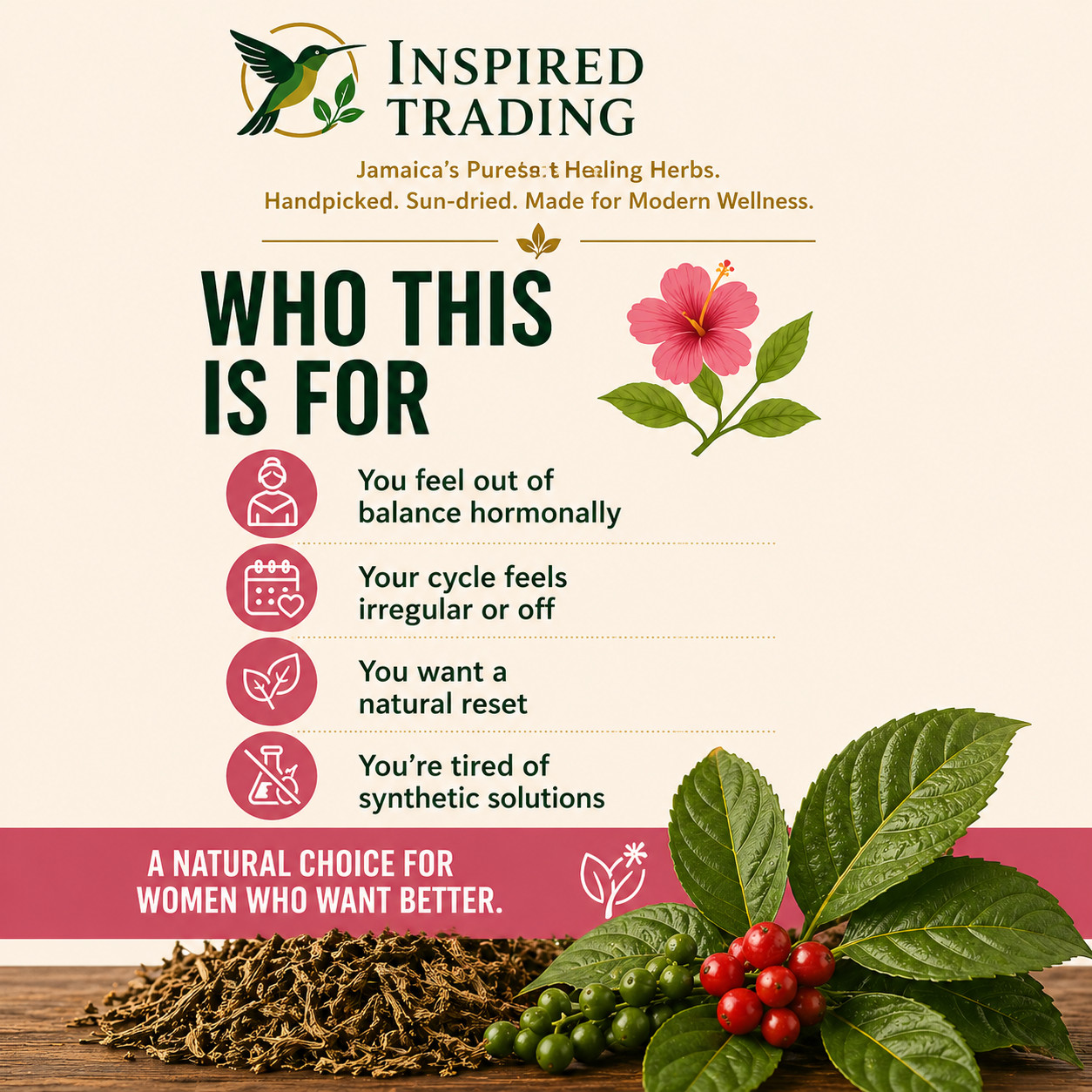 Jamaican Dog Blood Tea 2 Pack Fertility TTC Womb Wellness | Wildcrafted Portland