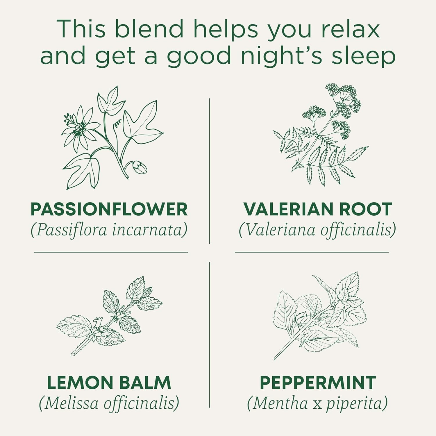 Organic Nighty Night Extra Tea With Valerian Root for Relaxation, 16 Tea Bags…