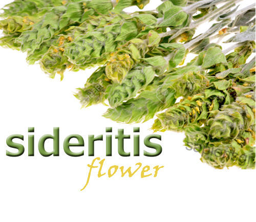 GREEK MOUNTAIN TEA 230g – SIDERITIS SCARDICA – DRIED OLYMPUS – 2019 HARVEST
