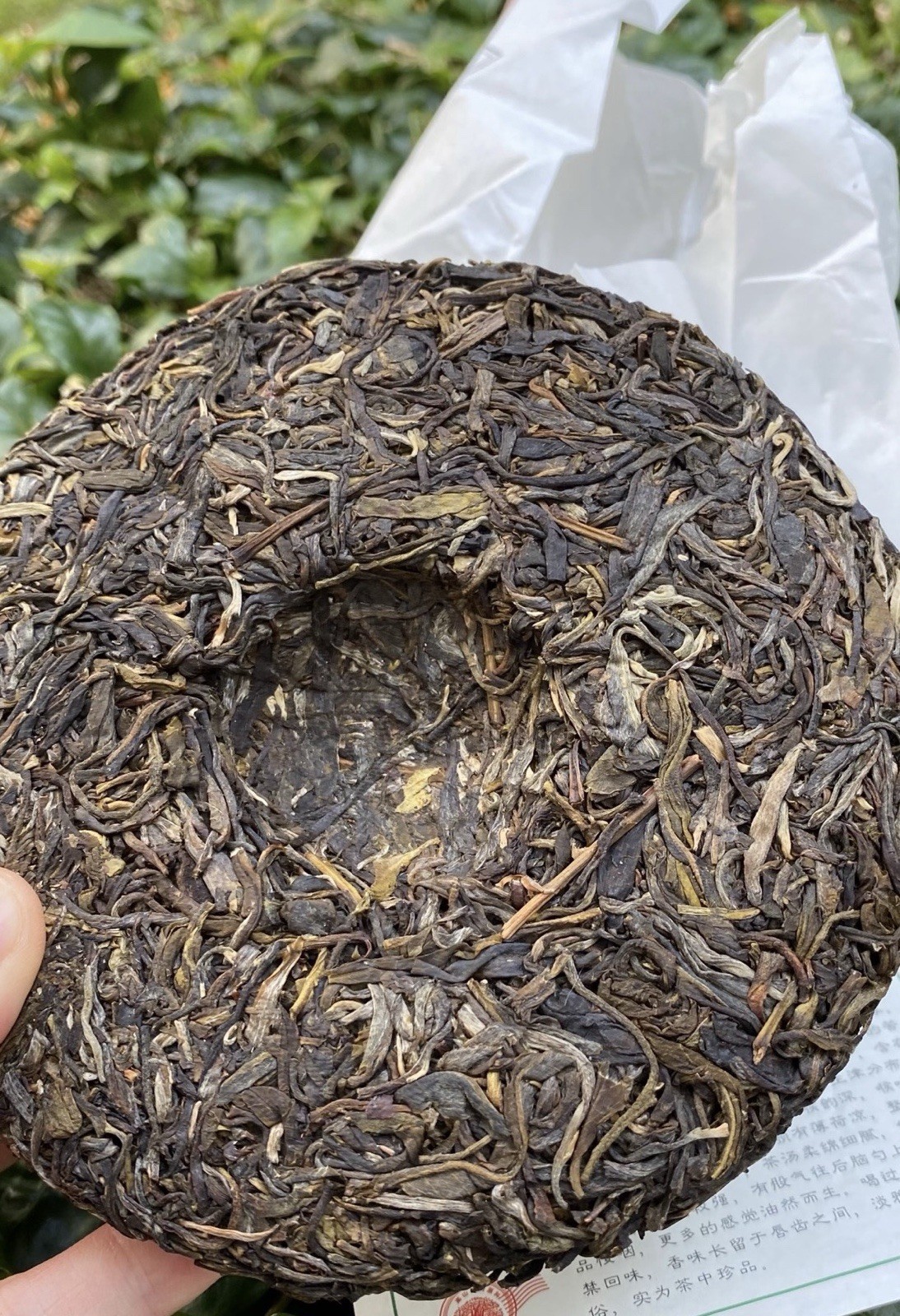 易武 薄荷塘 Pu-erh Sheng (Raw) Tea & Infusion Brick 200g Chinese 普洱生茶