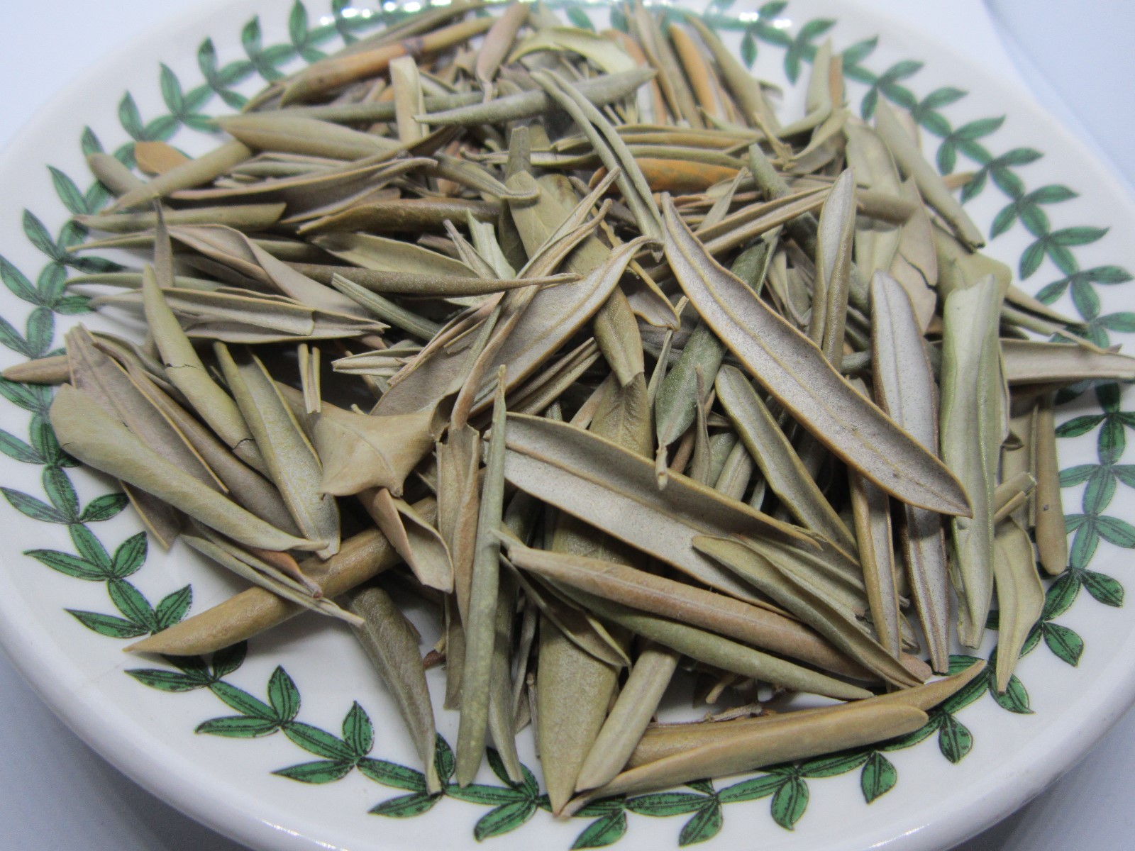 Olive Leaf – Olea europaea Loose Leaf from 100% Nature, Greece Import,