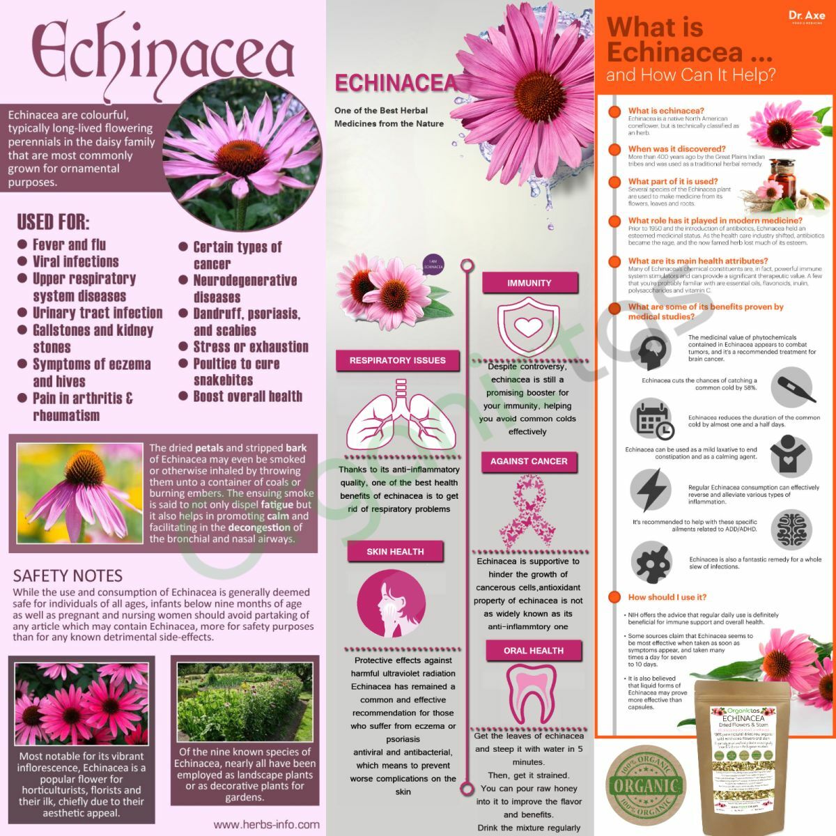Organic Echinacea Loose Tea, 100% Pure Purple Coneflower (Echinacea purpurea)
