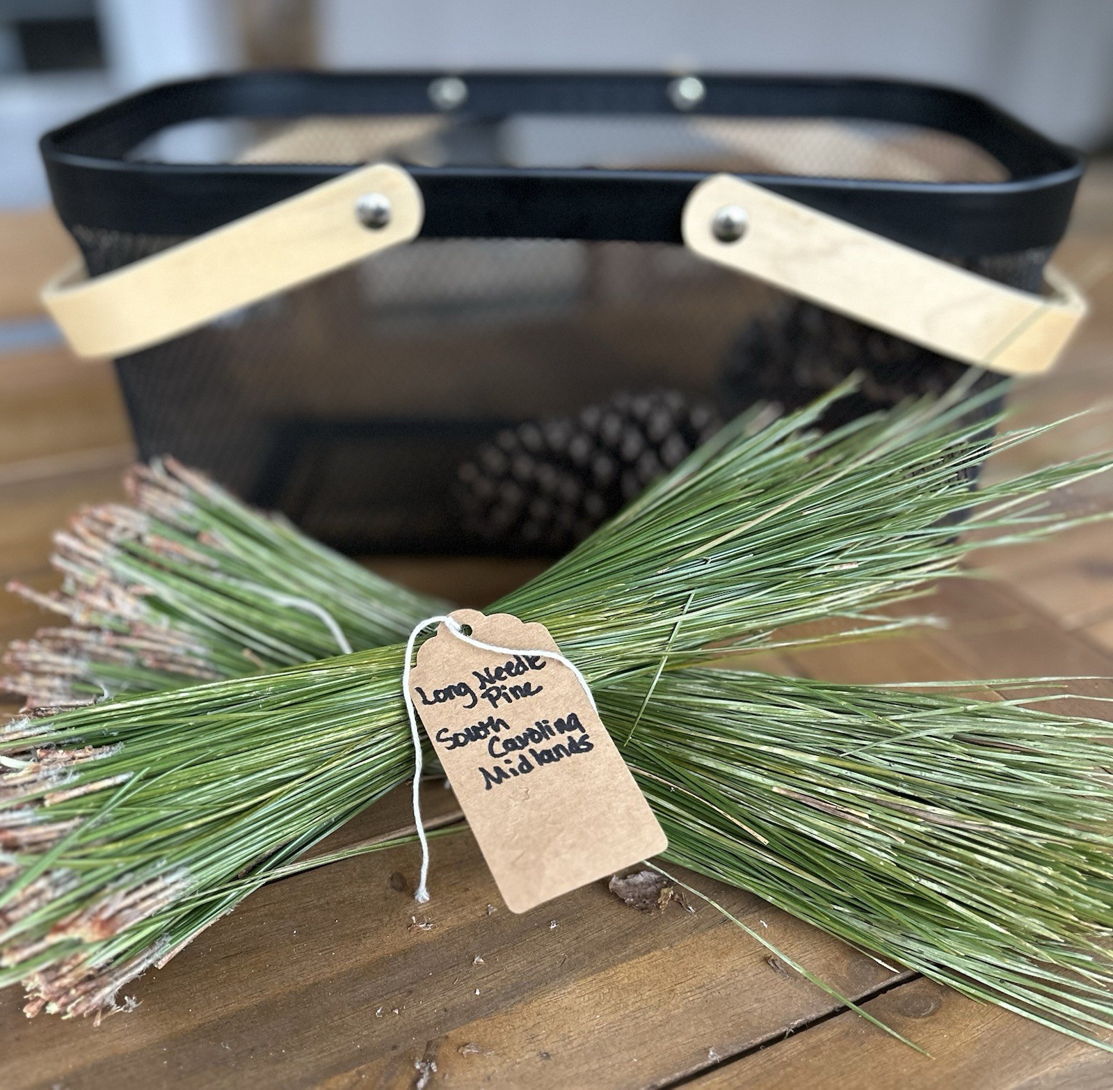 Long Needle Pine From SC Great For Tea! One pound