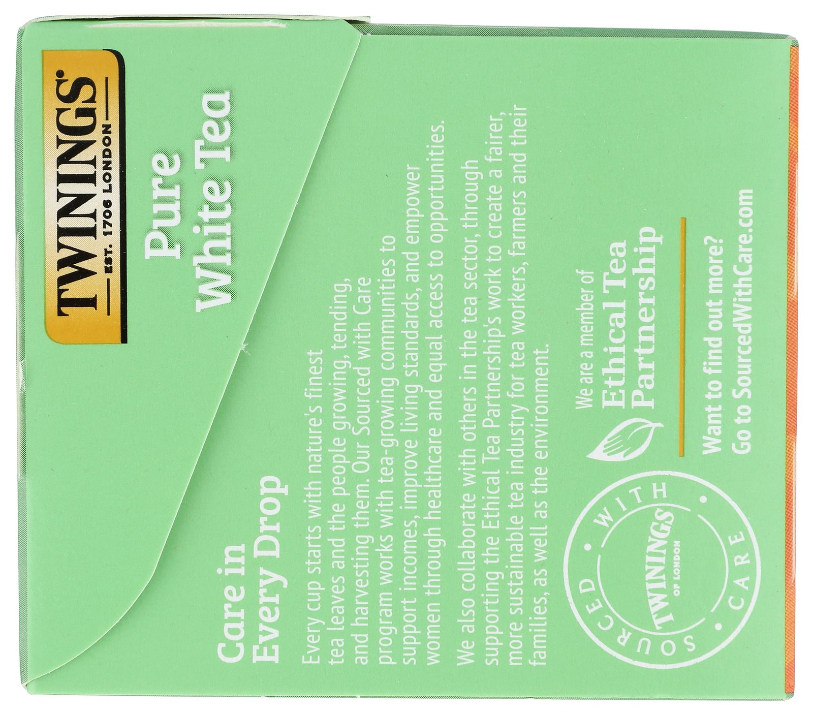 Twining Tea White Pure 20 ct Immune Support 0.19 Pound Grocery Tea