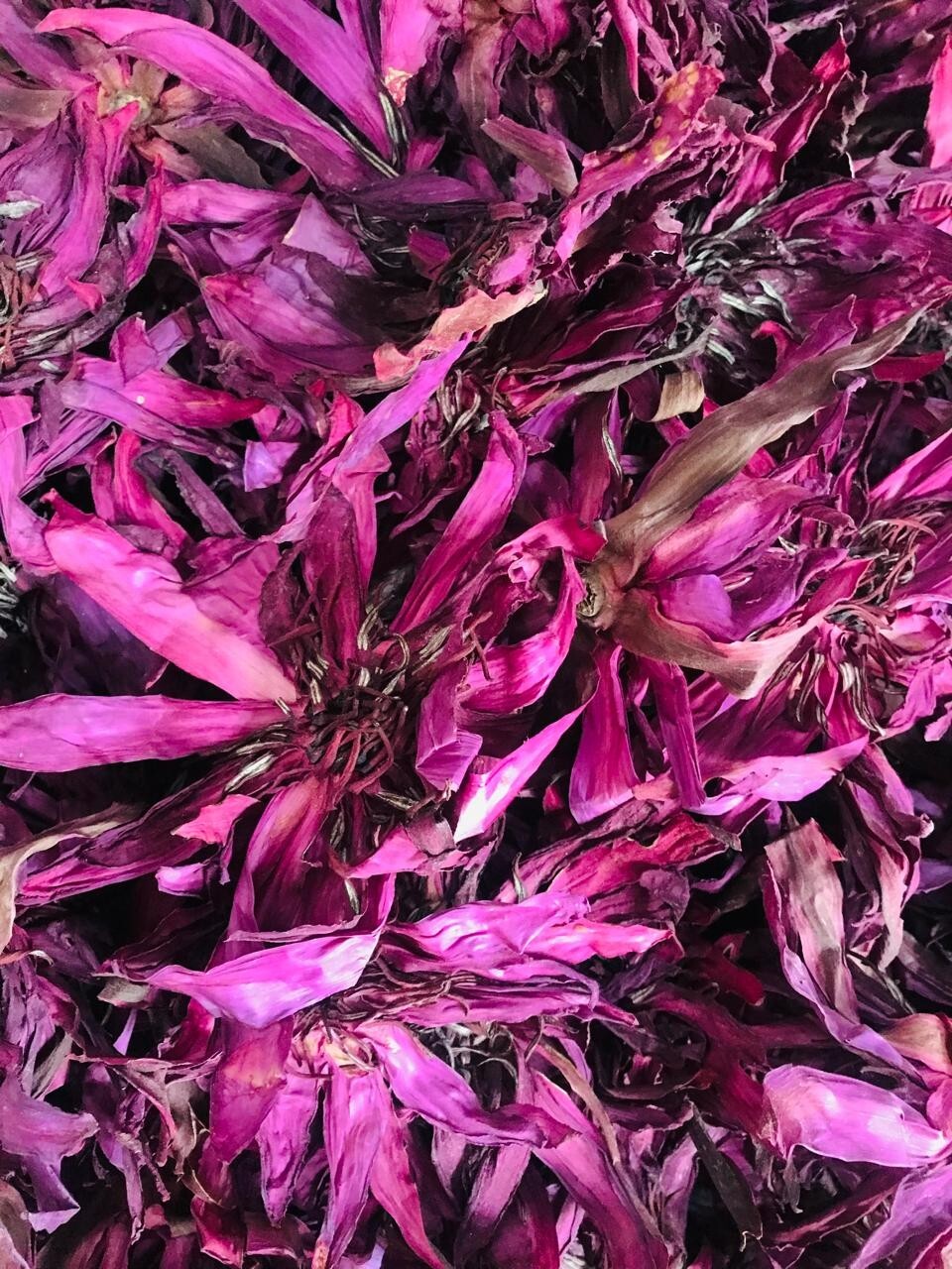 Dried Ceylon Red Lotus Flower Nelumbo Nucifera Pure Organic Hand Pick Herbal Tea