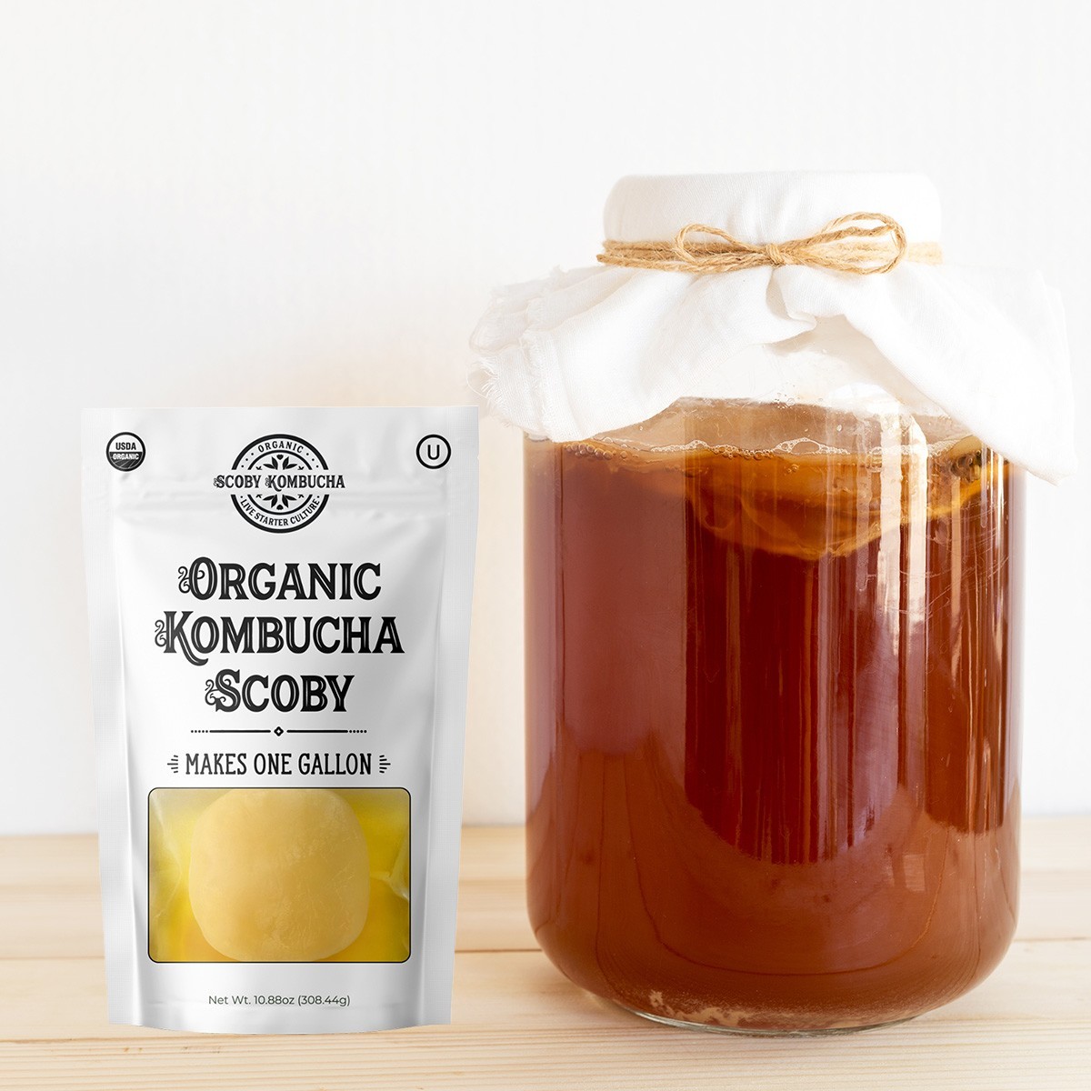 Scoby Kombucha FBA_LEPAZC5747 1 X Organic Kombucha Scoby-Live Culture
