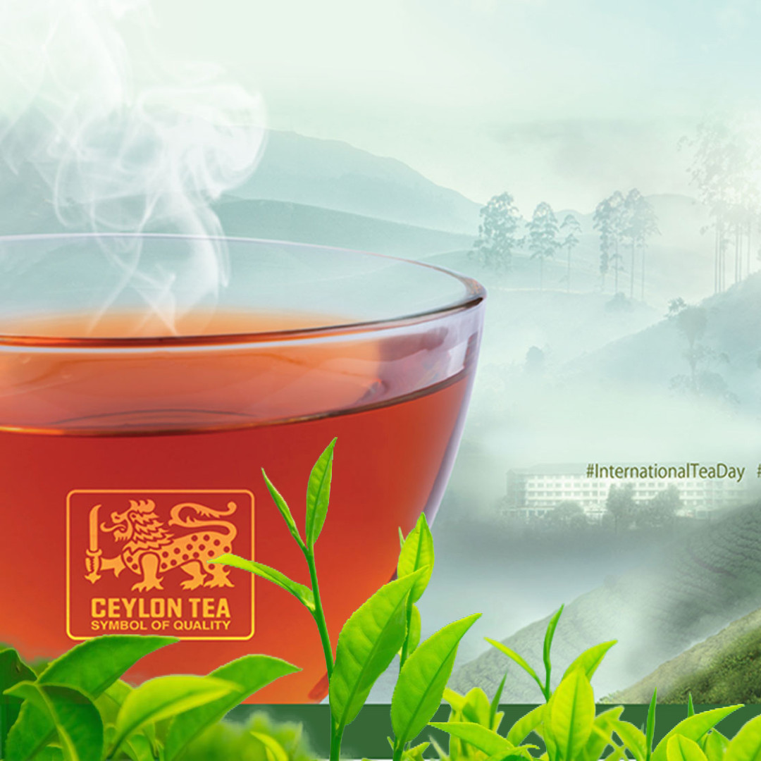 Pure Ceylon Black Tea | Premium Quality Sri Lanka best Healthy Drink Bulk | BOPF