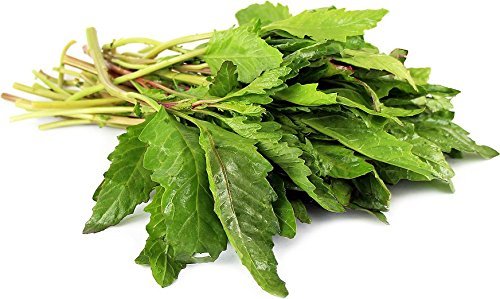 Epazote Herb – Dried Chenopodium ambrosioides C/S 100% from Nature, Wild Crafted