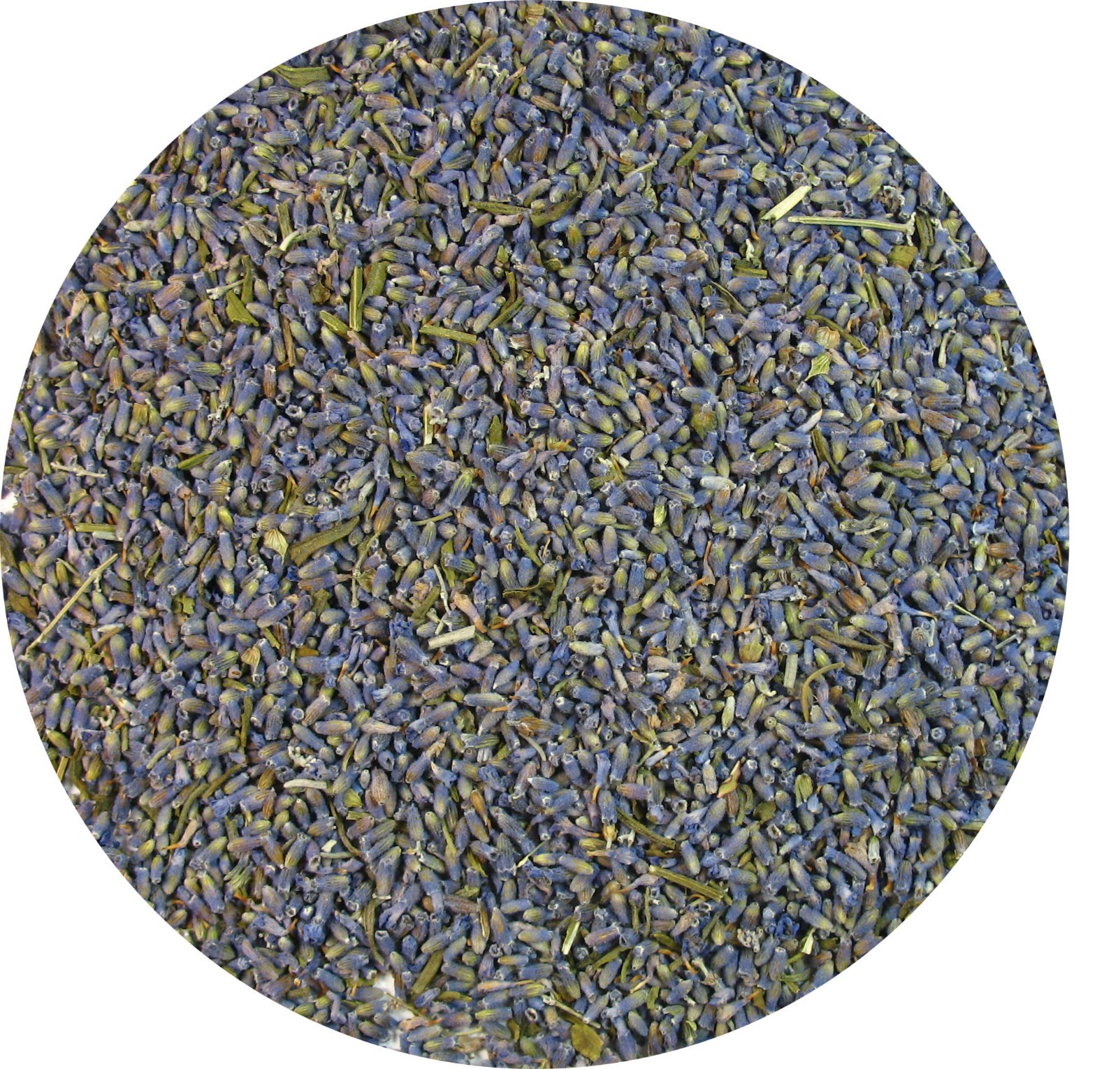 Greenhilltea Premium bulk tea Organic Wild Lavender herbal tea 1 LB