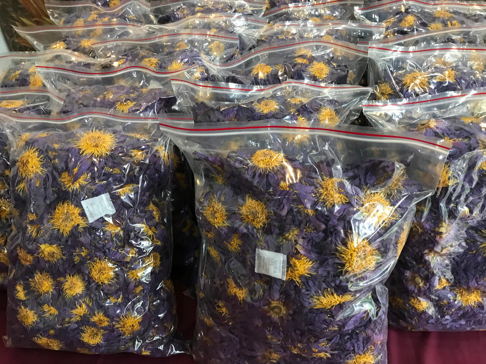 Ceylon Blue Lotus 1 lb + Nymphaea Caerulea Flowers 100% Organic Herbal Tea