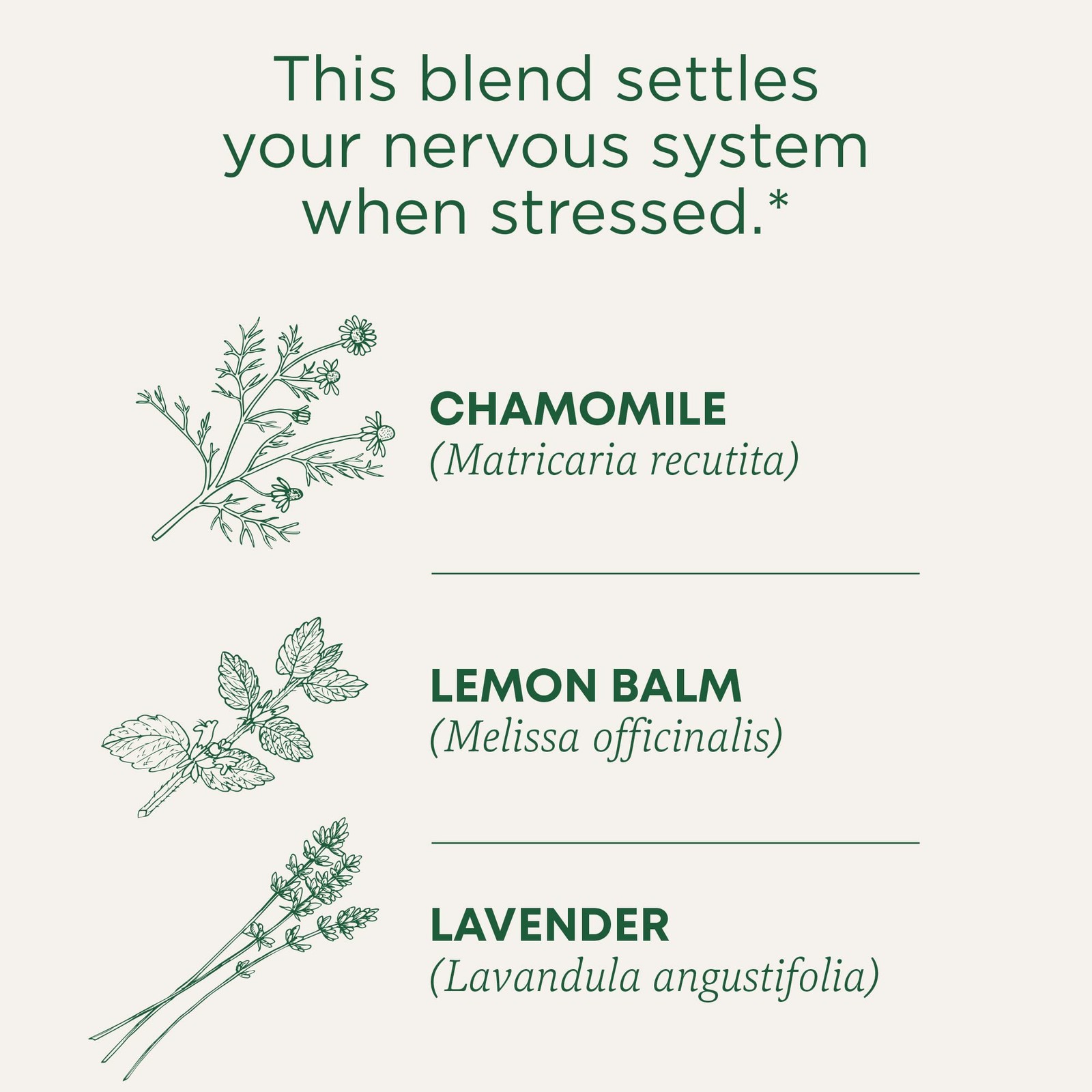 Traditional Medicinals Organic, Chamomile & 16 Count (Pack of 1), No Color