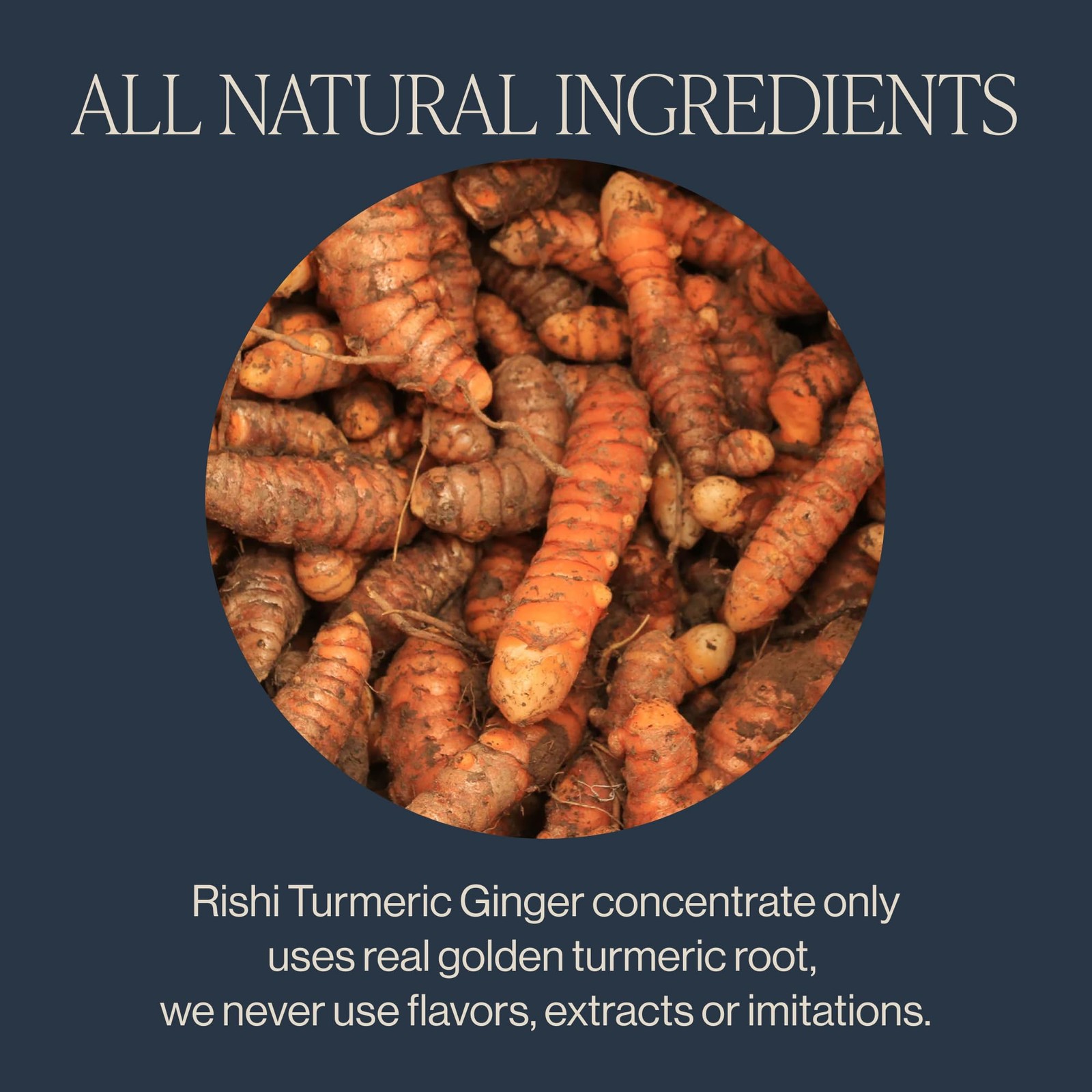 Rishi Tea Turmeric Ginger Chai Latte Organic Herbal Tea Concentrate with Gin…