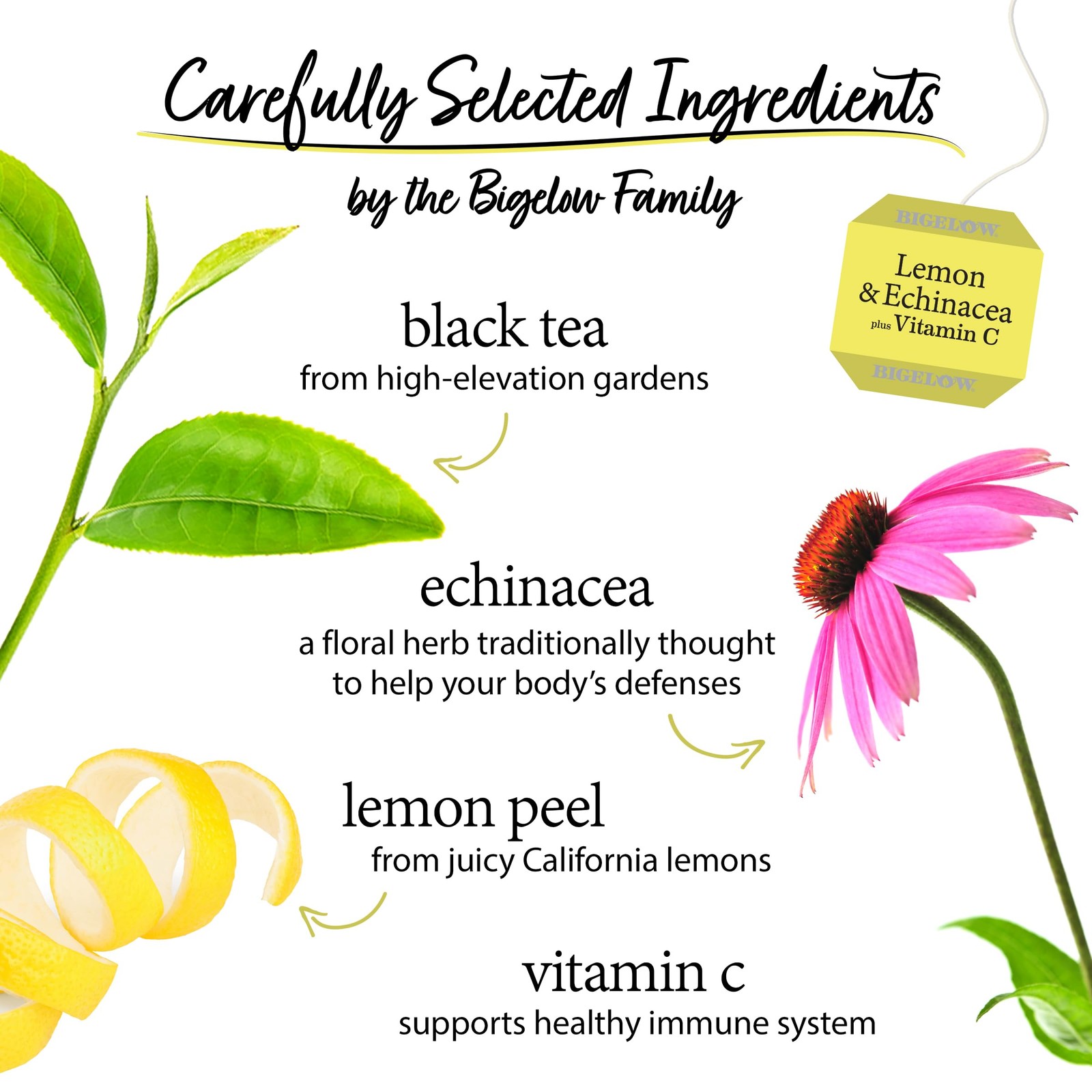 BigelowTea Lemon and Echinacea Black Tea 18ct No Size, Color