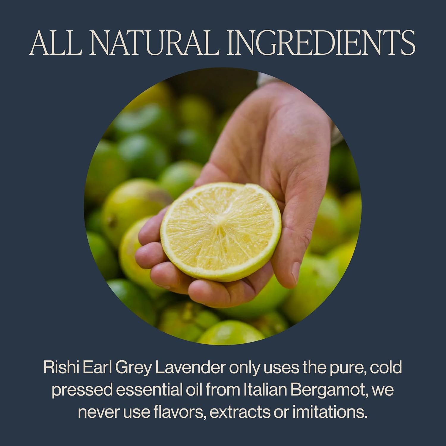 Rishi Tea Earl Grey Lavender Loose Leaf Pure Black Tea – Organic with Bergamot O