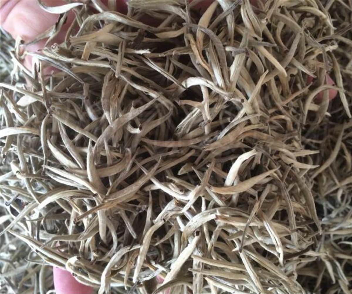 Lot Premium Chinese Organic Bai Hao Yin Zhen Silver Needle White Loose Leaf Tea
