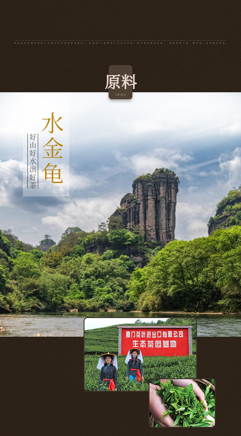 Sea Dyke Brand Shui Jin Gui Fujian Wuyi Mountain Rock Oolong Tea 125g