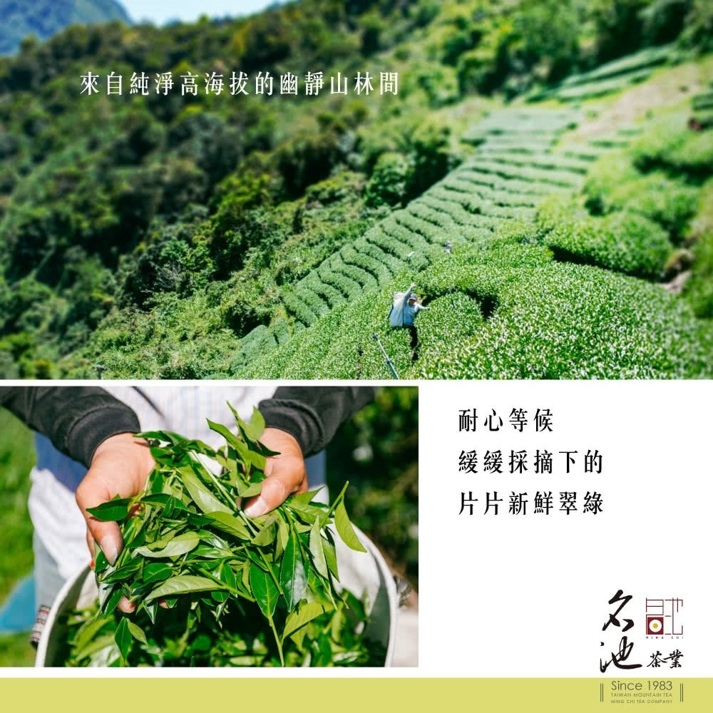 Taiwan unique tea,Chin-Shin-Oolong,手採冷霜福壽梨山高冷茶葉 Fushou Lishan Tea,150g*6