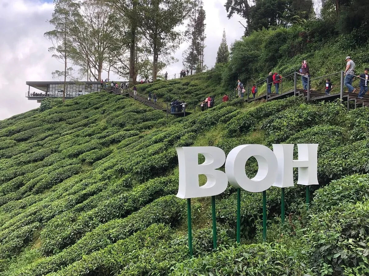 BOH Cameron Highlands Tea Leaves Uncang 100’S