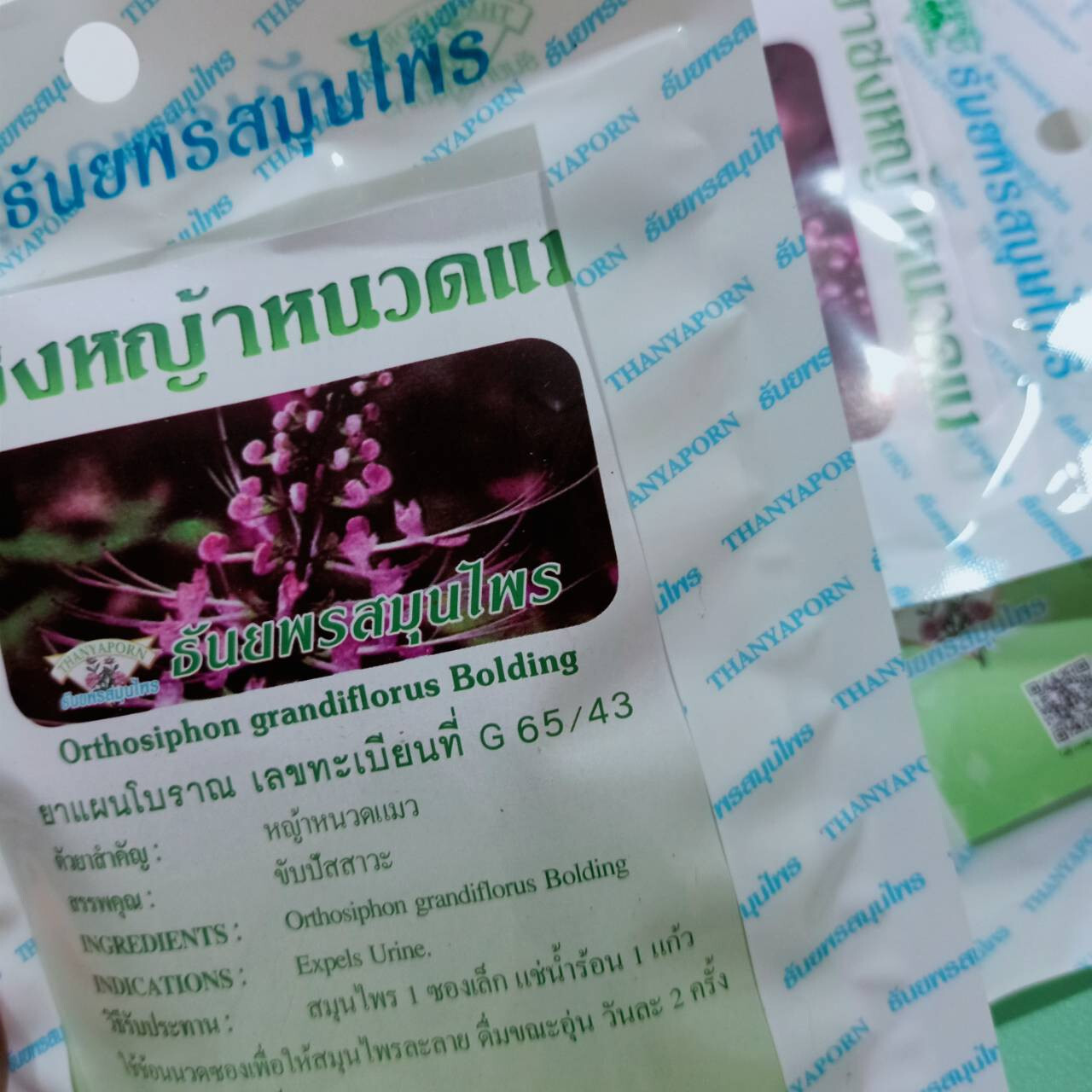 6X Java Tea Cat’s Whiskers Thai Herbal Organic Natural Orthosiphon Grandiflorus